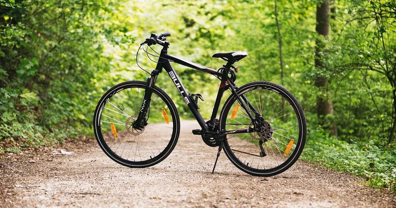 Vélo, barque, forêt : la trilogie de la déconnexion